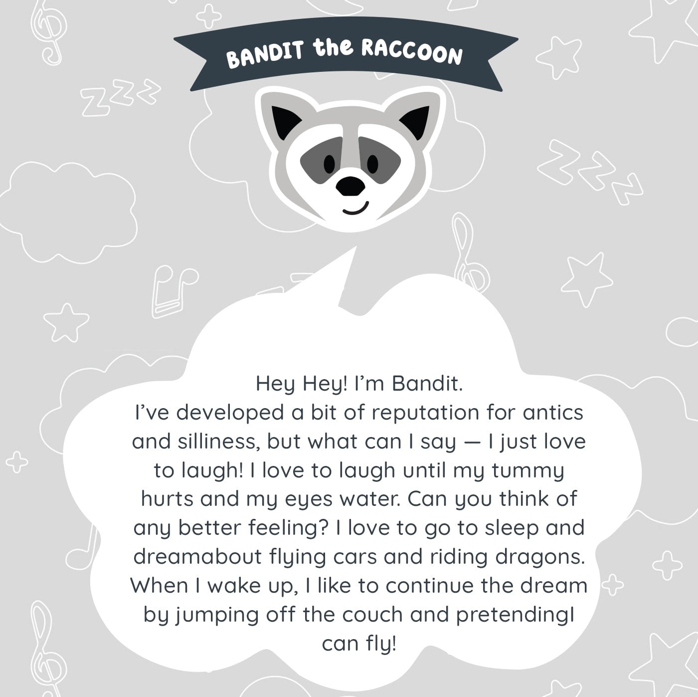 Raccoon Comforter – Riff Raff Baby US