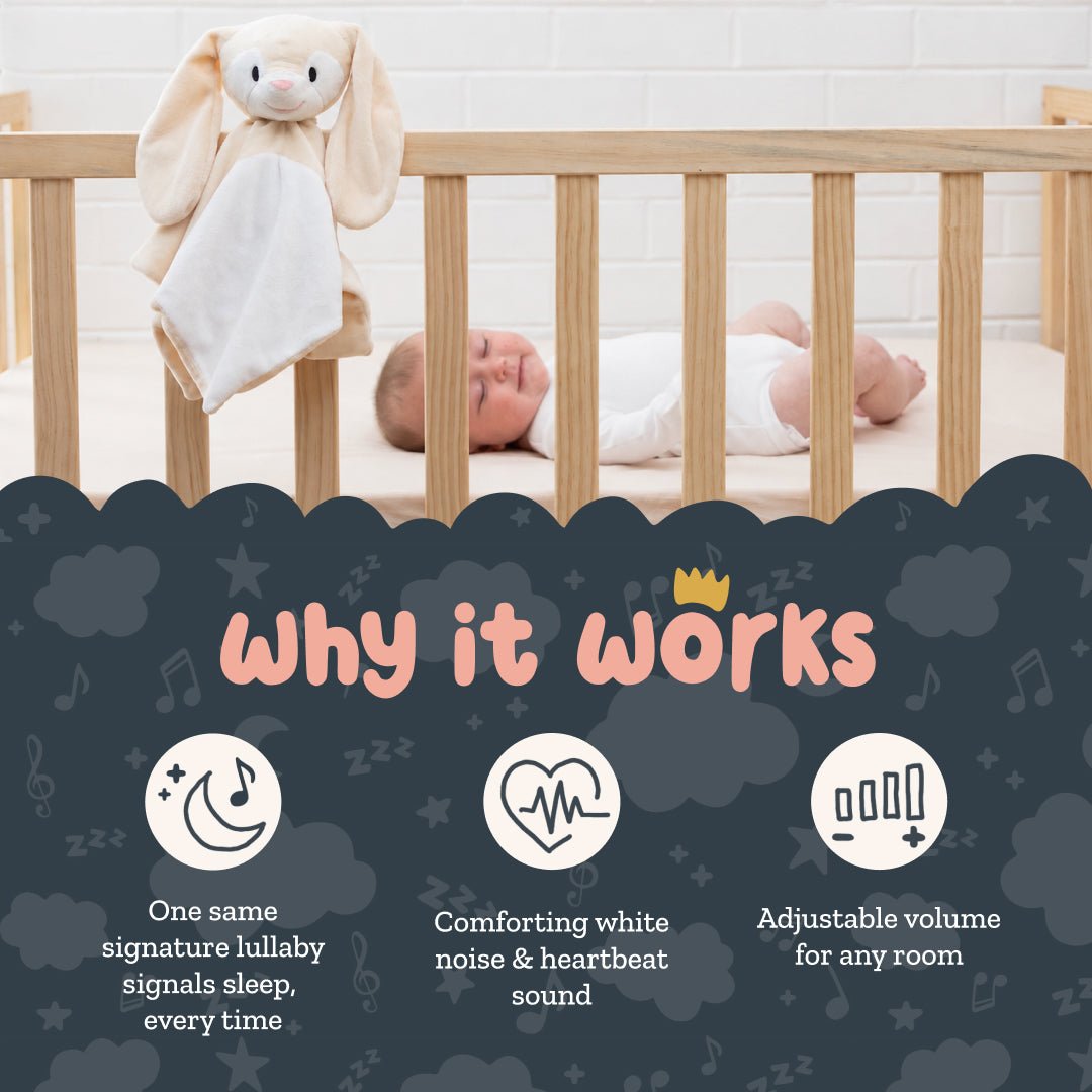 Sleep Toy - Banjo The Bear - Riff Raff Baby US