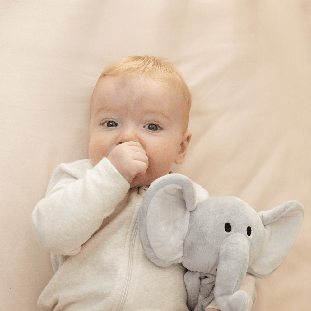 
                      
                        Sleep Toy - Stampy the Elephant - Riff Raff Baby US
                      
                    