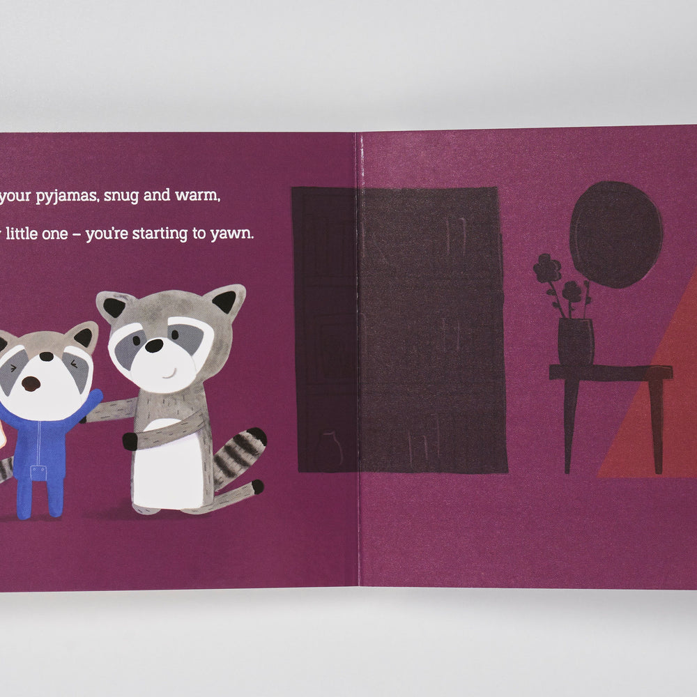 Bedtime Book - Bandit The Raccoon Riff Raff & Co Sleep Toys 