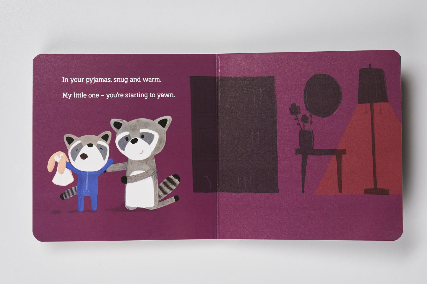 Bedtime Book - Bandit The Raccoon Riff Raff & Co Sleep Toys 